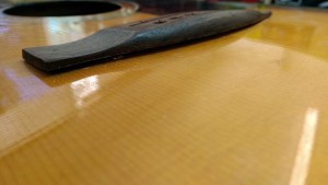 10600460_1483025361960313_8755912503613015520_n